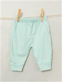 Buy Green Trousers Online