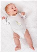 Buy Embroidered Giraffe Bodysuit Online